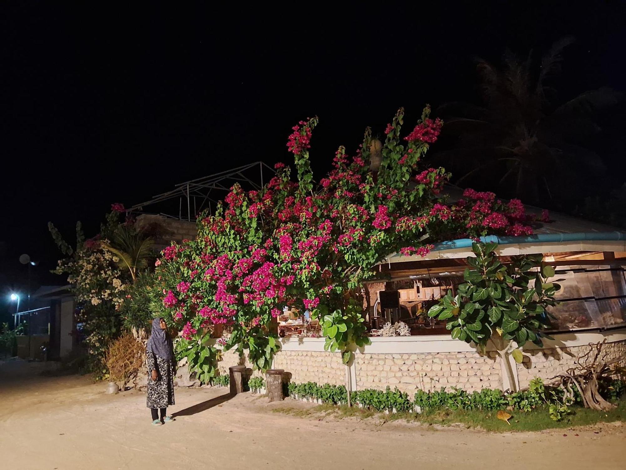 Sky Village Fehendhoo Extérieur photo