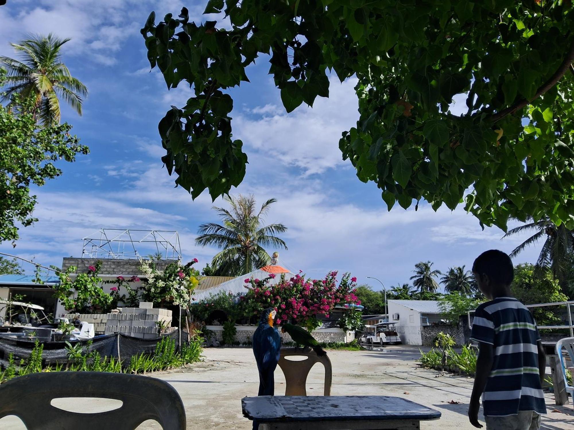 Sky Village Fehendhoo Extérieur photo